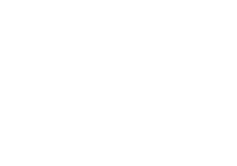 Digital Archive